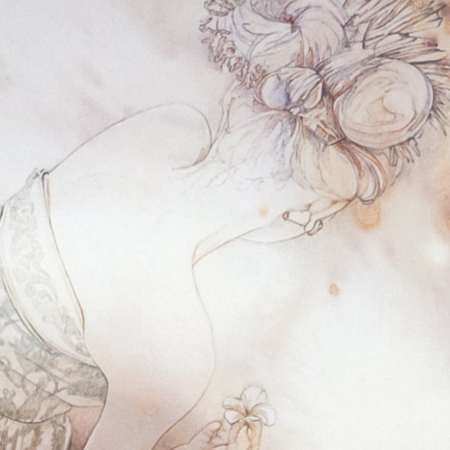 Transparency and light.