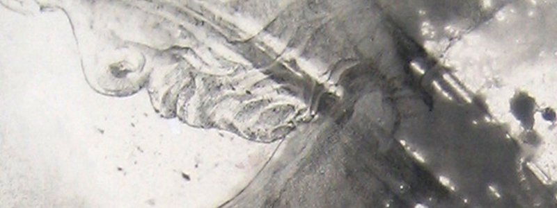 A splash for a neck.