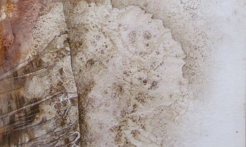 The texture and the fabric.