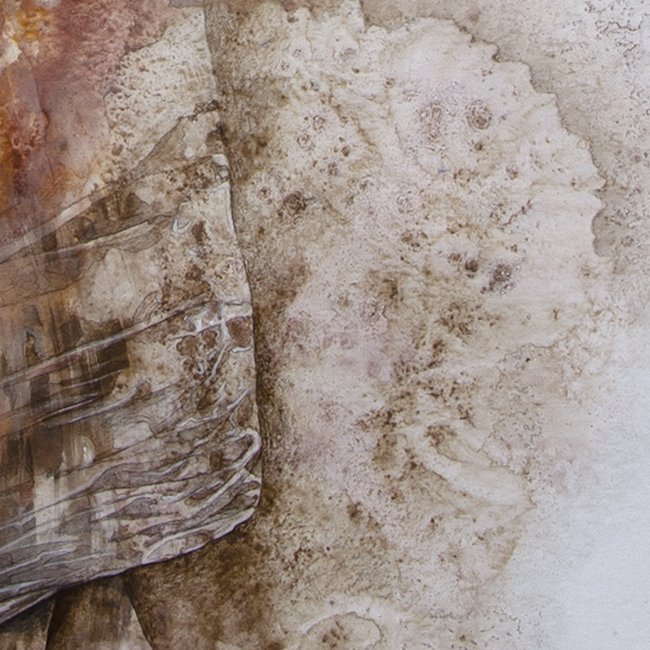 The texture and the fabric.